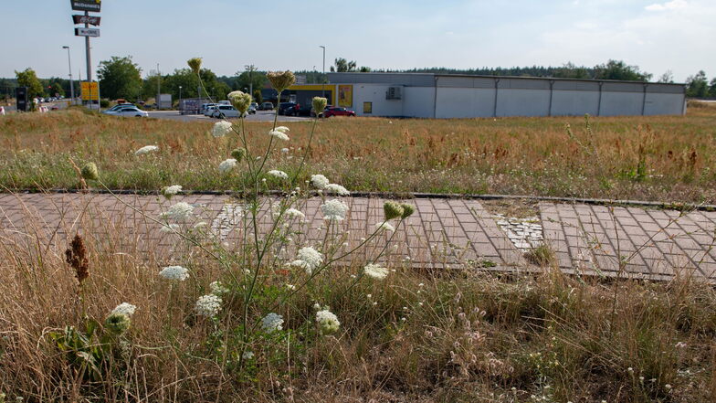 Diese Fläche im Gewerbegebiet Thiendorf kann noch bebaut werden. Dafür werden jetzt die Bauvorschriften angepasst.