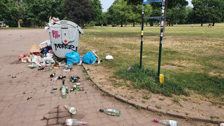 Illegaler Müll in Dresdens Parkanlagen ist ein Ärgernis.