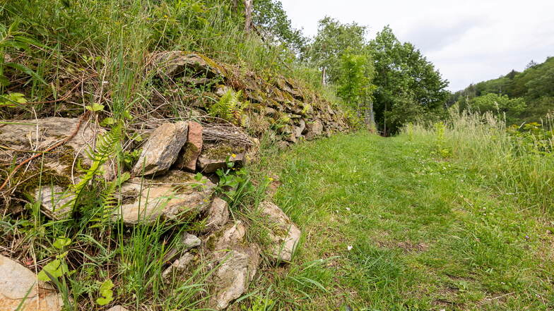 Die Natursteinmauer in Glashütte sorgte für längere Debatten. Der Grund: Sie muss saniert werden.