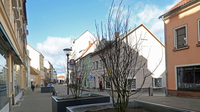 Die Pflanzkübel entlang der Riesaer Hauptstraße werden bepflanzt.