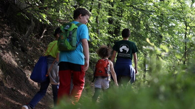 Ein Schultag im Schatten des Liliensteins: Waldjugendspiele im Nationalpark.