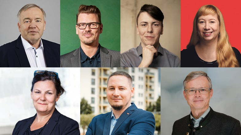 Diese sieben Kandidaten wetteifern im Wahlkreis 55 um das Direktmandat (oben v.l.): Frank Hirche (CDU), Hagen Domaschke (Grüne), Eddie Friedrich (FDP), Kristin Kentsch (SPD) sowie (unten v.l.) Doreen Schwietzer (AfD), Silvio Lang (Linke) und Dirk Nasdala