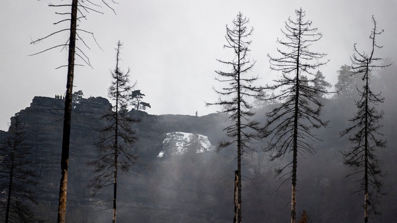 Wer verursachte den Waldbrand in der Böhmischen Schweiz?