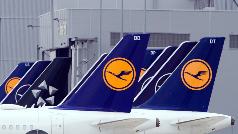 Flugzeuge der Lufthansa stehen am Rand des Rollfeldes nebeneinander.