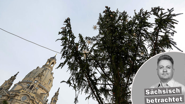 Vor der Dresdner Frauenkirche sorgte ein kahler Weihnachtsbaum für Häme. Nun wurde die "Schandfichte" mithilfe von Grünzweigen anderer Bäume ausgebessert (siehe Foto). Für viele bleibt sie dennoch ein Fall für den Holzfäller. Foto: Daniel Schäfer/dpa