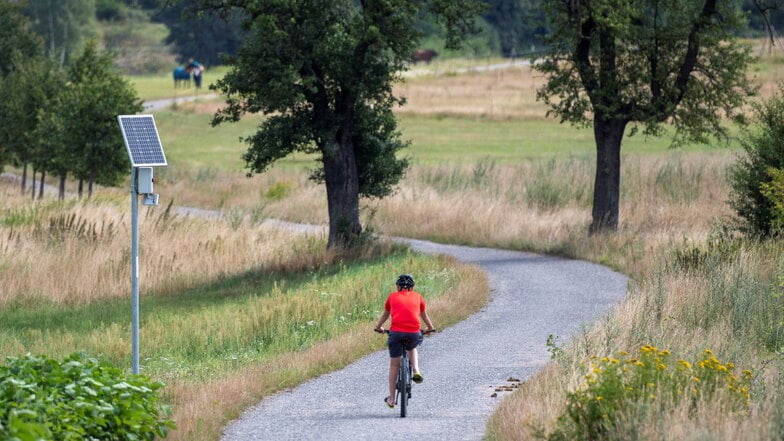Moritzburg: Was die neue Fahrradzählstelle am Dippelsdorfer Teich erfasst
