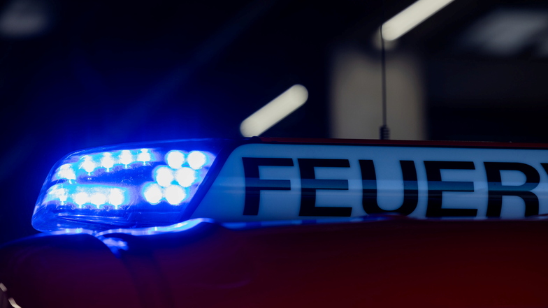 Dresdner Heide in Flammen: Polizei ermittelt wegen Brandstiftung