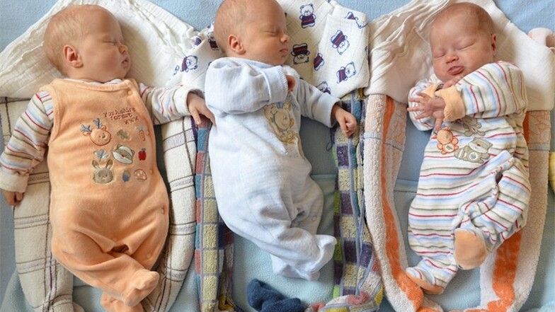 Satt und zufrieden: Freya Cornelia, Leander und Theodora (v.l.) sind drei Wochen alt und teilen sich am Tag ein Babybett. Nachts wollen sie lieber zu Mama.