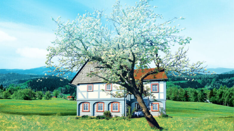 Ein typisches Umgebindehaus aus dem Oberlausitzer Bergland ist das Wahrzeichen der Oppacher Mineralquellen.