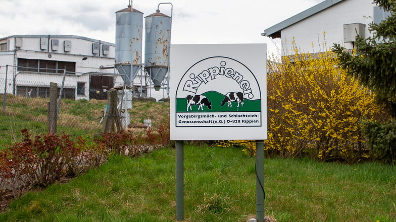 Im Bannewitzer Ortsteil Rippien hat die Vorgebirgsmilch- und Schlachtvieh-Genossenschaft ihren Sitz. Mit dem Verkauf der Kühe mussten auch Mitarbeiter gehen.