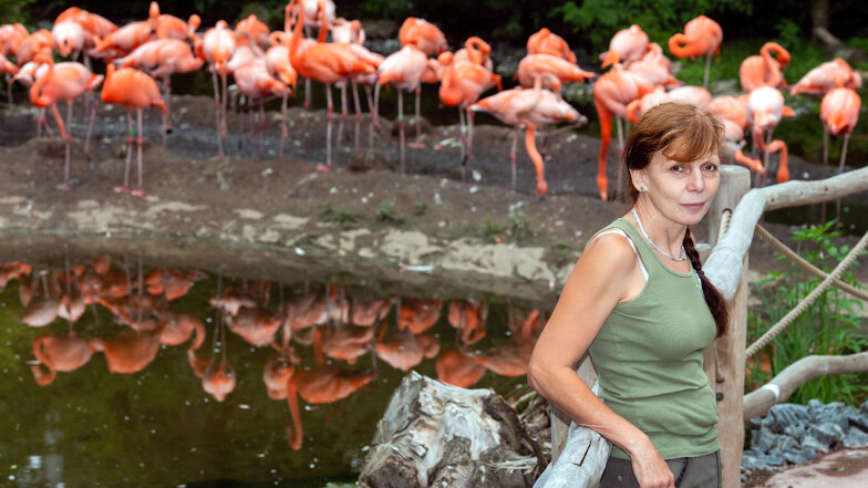Revierleiterin Kerstin Kunadt betreut Flamingos, Rote Sichler und Rosalöffler in der neuen, begehbaren Voliere.
