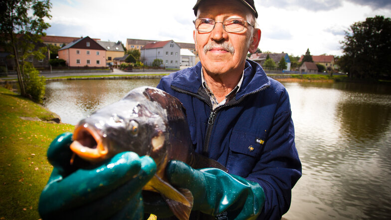 Gefangen: Stolz hält der Wachauer Fischwirt Frank Herrich einen dicken Karpfen in die Kamera. Am Sonnabend wird der Wachauer Mittelteich wieder abgefischt.