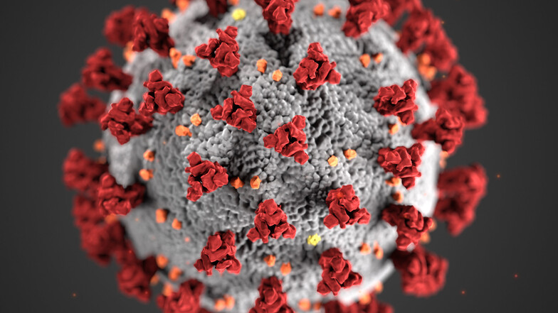 So sieht das neuartige Coronavirus aus.