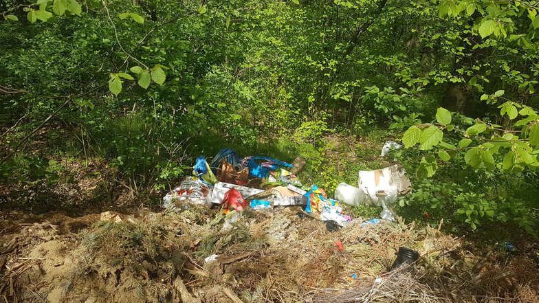 Eine illegale Müllkippe, hier bei Ludwigsdorf in der Nähe des Sportplatzes.