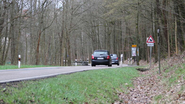 Der von den Planern favorisierte Trassenverlauf soll die S36 in Richtung Possendorf auf der rechten Seite der Fahrbahn begleiten.