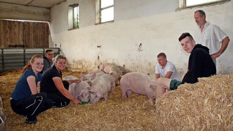 Jan Gumpert (rechts), eine Ausbilderin und Azubis in einem Stall der Agrarset Naunhof. Hier werden die Schweine bereits unter ähnlichen Bedingungen gehalten, wie sie bei der Genießergenossenschaft Standard werden sollen.