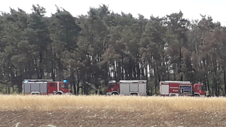Feuerwehr löscht in einem Privatwald bei Nieska Glutnester. Dort hatte es am Sonntag gebrannt.