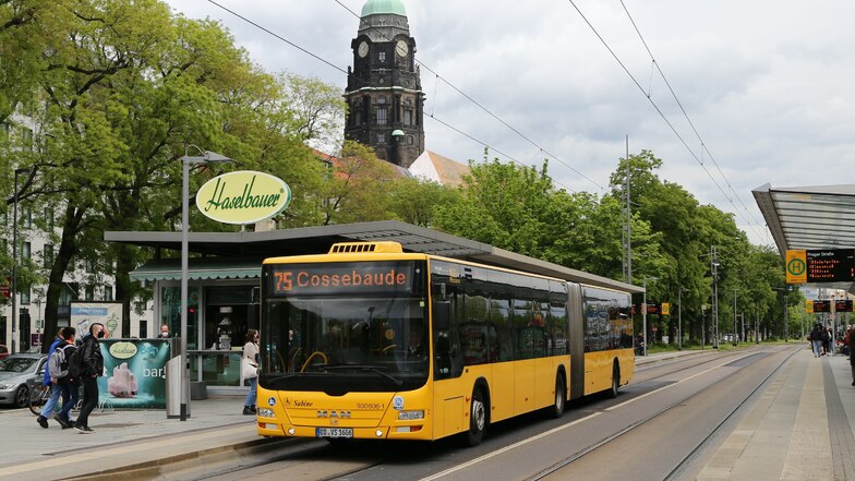 Die Linie 75 wird ab September zwischen Leubnitz und Cossebaude auf einen 10-Minuten-Takt verdichtet und heißt dann „68“. Die Strecke vorbei am Rathaus bleibt unverändert. Auch dafür werden die neuen Busse benötigt.
