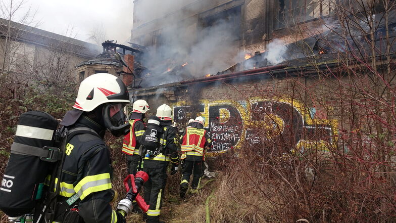 Großer Aufwand: Rund 50 Feuerwehrleute aus Pirna und Heidenau waren im Einsatz.