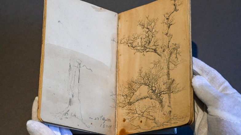 Die knorrige Eiche aus Friedrichs Skizzenbuch taucht später gleich in drei Gemälden von ihm wieder auf. Er könnte sie im Dresdner Großen Garten gezeichnet haben.