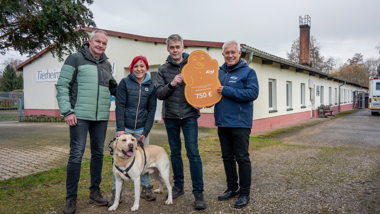 Energiedienstleister federt mit Spenden Preiserhöhung im Ostrauer Tierheim ab