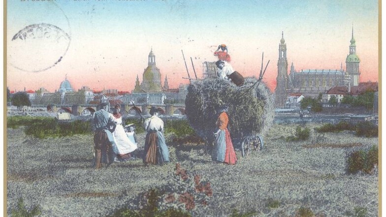 Den Canaletto-Blick auf das Dresdner Altstadt-Panorama kennen die meisten. Aber nicht so. 1905 haben Bauern die Ansicht bei der Heuernte verstellt. Damit liefern sie ein ungewöhnliches Motiv für die Nachwelt. Heute wird die Wiese nicht mehr landwirtschaftlich genutzt.