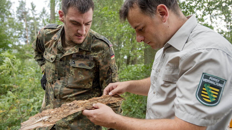 Revierförster Michael Blaß mit Bundeswehrsoldat Tobias Sperling: In diesem Sommer unterstützten Soldaten Waldarbeiter im Kampf gegen den Borkenkäfer.