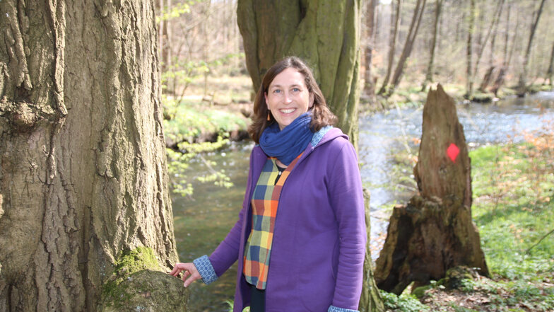 Claudia Scharf lädt im Seifersdorfer Tal zum Waldbaden ein. „Das baut Stress ab und fördert die Gesundheit als Ganzes“, sagt sie. In Japan ist diese Methode unter dem Begriff Shinrin Yoku seit Jahrzehnten bekannt.