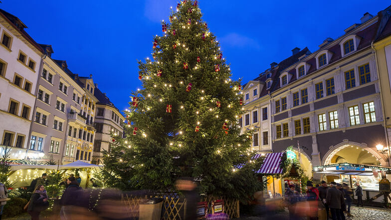 Das ist der gewohnte Anblick: Der Weihnachtsbaum auf dem Untermarkt, behangen mit Geschenken, umgeben von den Buden des Christkindelmarktes. Dieses Bild wird es so diesmal nicht geben.