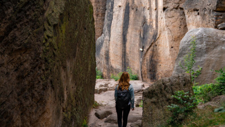 Du bist mit Hund und Kindern unterwegs und willst auf deiner Wandertour nicht so viel klettern? Dann ist die Umrundung des Quirls und das Plateau des Pfaffensteins genau das richtige. Mit einem Klick auf's Bild gelangst du zur Route.