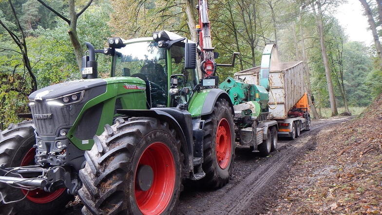 Forstarbeiten am Polenztalweg: Äste und Reisig wurden gehäckselt und abtransportiert.