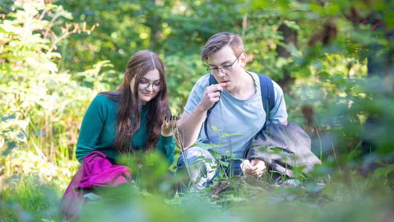 Die 18-jährigen Schüler Felicitas und Florian probieren Sauerklee: "Schmeckt einfach nach Grün."