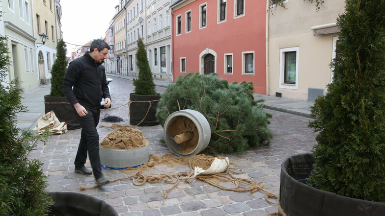 Tino Wunderlich vor der umgekippten Kiefer auf der Langen Straße: Unwahrscheinlich, dass der Wind den Baum umgeworfen hat.