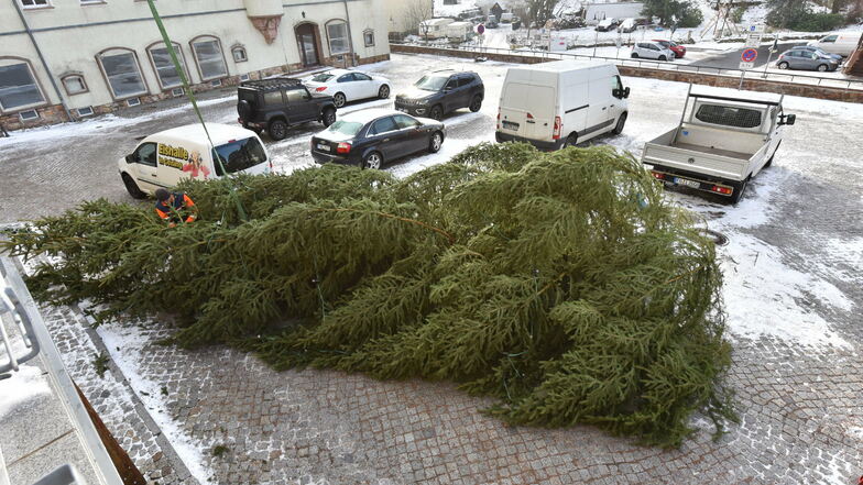 Der umgekippte Weihnachtsbaum.