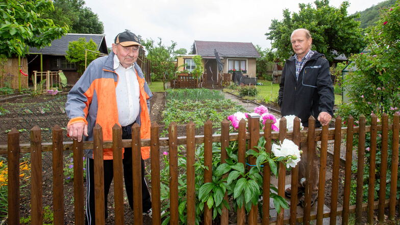 Jürgen Wehlt (links) und Thomas Stäter stehen an einem Gartenzaun. Sie feiern mit dem KGV Waldesruh in Pirna das 100. Jubiläum.