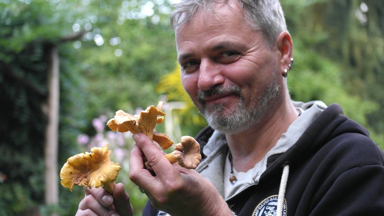Pilzberater Michael Möbius aus Geringswalde zeigt einige Pfifferlinge. Diese Pilzart gehört zu den Favoriten auf seinem Speiseplan.
