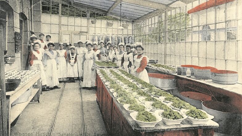 Nur gesunde und vegetarische Kost wurde bei Lahmann serviert, wie die Postkarte um 1910 zeigt. Fleisch gab es nur einmal in der Woche.
