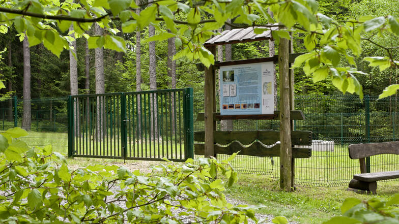 Acht Schaustafeln informieren entlang des Pfades zur Herstellung des Oppacher Mineralwasser sowie zur Natur und Landschaft des Oberlausitzer Berglandes.