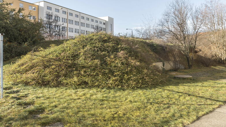 Von außen wirkt der Bunker nahe dem Volkshaus (Hintergrund) wie ein sanfter, grüner Hügel.