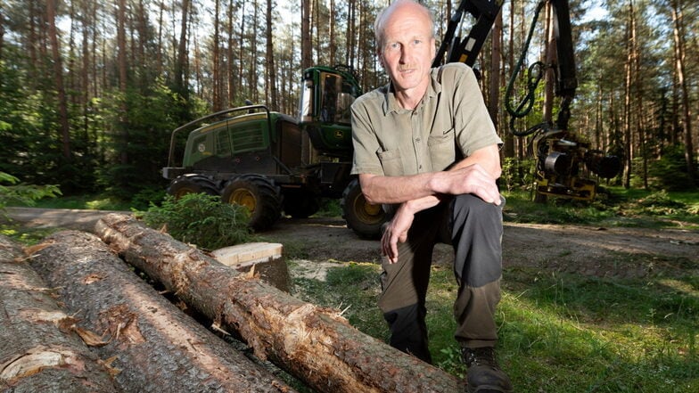 Macht sich Sorgen um die letzten Fichtenbestände in der Dresdner Heide: Forstdirektor Heiko Müller.