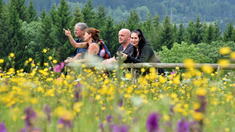 Osterzgebirge: Schlemmen und Blüten gucken