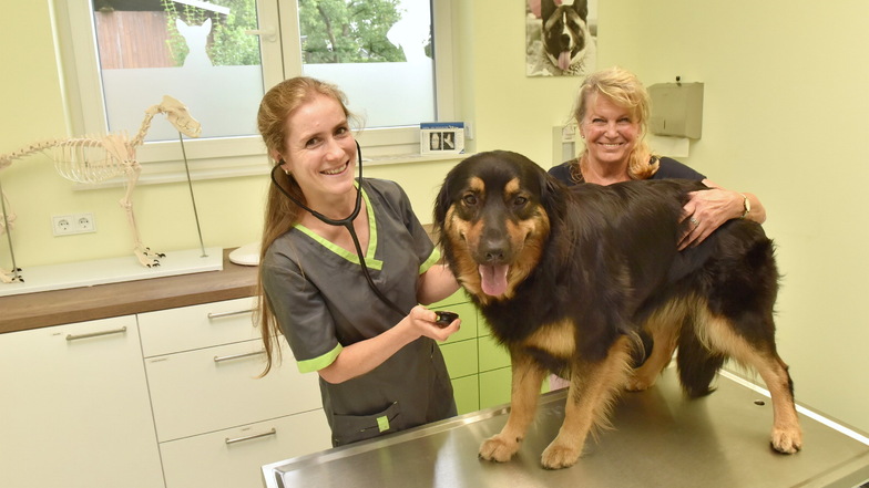Tierärztin Julia Nestler (l.) und Jutta Jantke kennen sich, da war die Ärztin noch ein Kind. Nun behandelt sie Hund Lara.