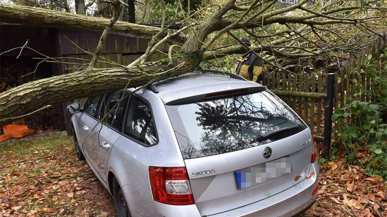Pech hatte dieser Autobesitzer in Schellerhau: Sein Skoda wurde direkt vom Baum getroffen.