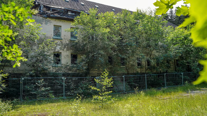 Die Natur verdeckt gnädig die ehemalige Neukircher Jugendherberge auf dem Valtenberg. Was mit dem maroden Gebäude passieren soll, bleibt weiter unklar.