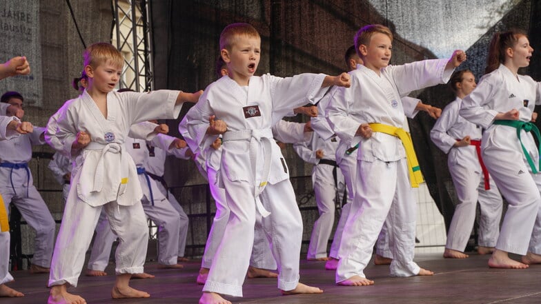 Der Bautzener Verein TaekwonDo-Dojang hat großen Zulauf und braucht daher mehr Platz zum Trainieren. Die Stadt gibt Geld für die Erweiterung der Trainingshalle. Auch andere Sportvereine bekommen Geld.