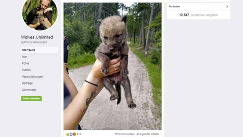 Dieses Foto auf der Facebook-Seite von "Wolves unlimited" sorgte für einige Aufregung. ©  Screenshot Facebook 