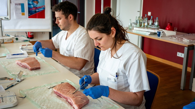 Das Klinikum Döbeln lädt regelmäßig Medizinstudenten ein, praktische Erfahrungen zu sammeln. In der „Sugery Spring School“ wurde unter anderem das Nähen von Wunden an Schweinebäuchen geübt.