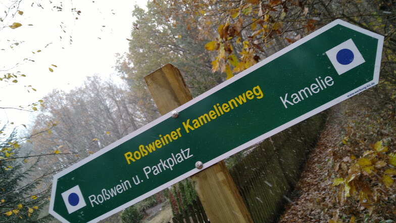 Die Roßweiner Wanderwegewarte Kerstin und Jens Pigorsch haben rechtzeitig vorm Start der Kameliensaison 2024 einen Wanderweg zum Kamelienhaus im Roßweiner Wolfstal hergerichtet und ausgeschildert.