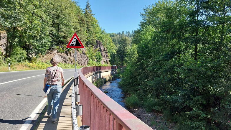 Keine Chance zu trampen auf der Strecke nach Bärenstein. Hier anzuhalten, wäre für die Autofahrer aufgrund der engen Kurven auch zu gefährlich gewesen.