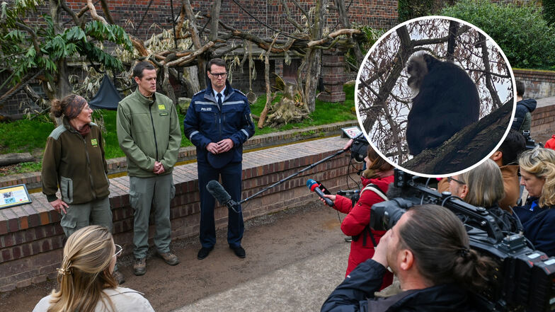 Nach dem Diebstahl eines Affens aus dem Zoo Leipzig ist das Tier nun wieder zurück. Am Donnerstag gab es eine Pressekonferenz vor Ort.